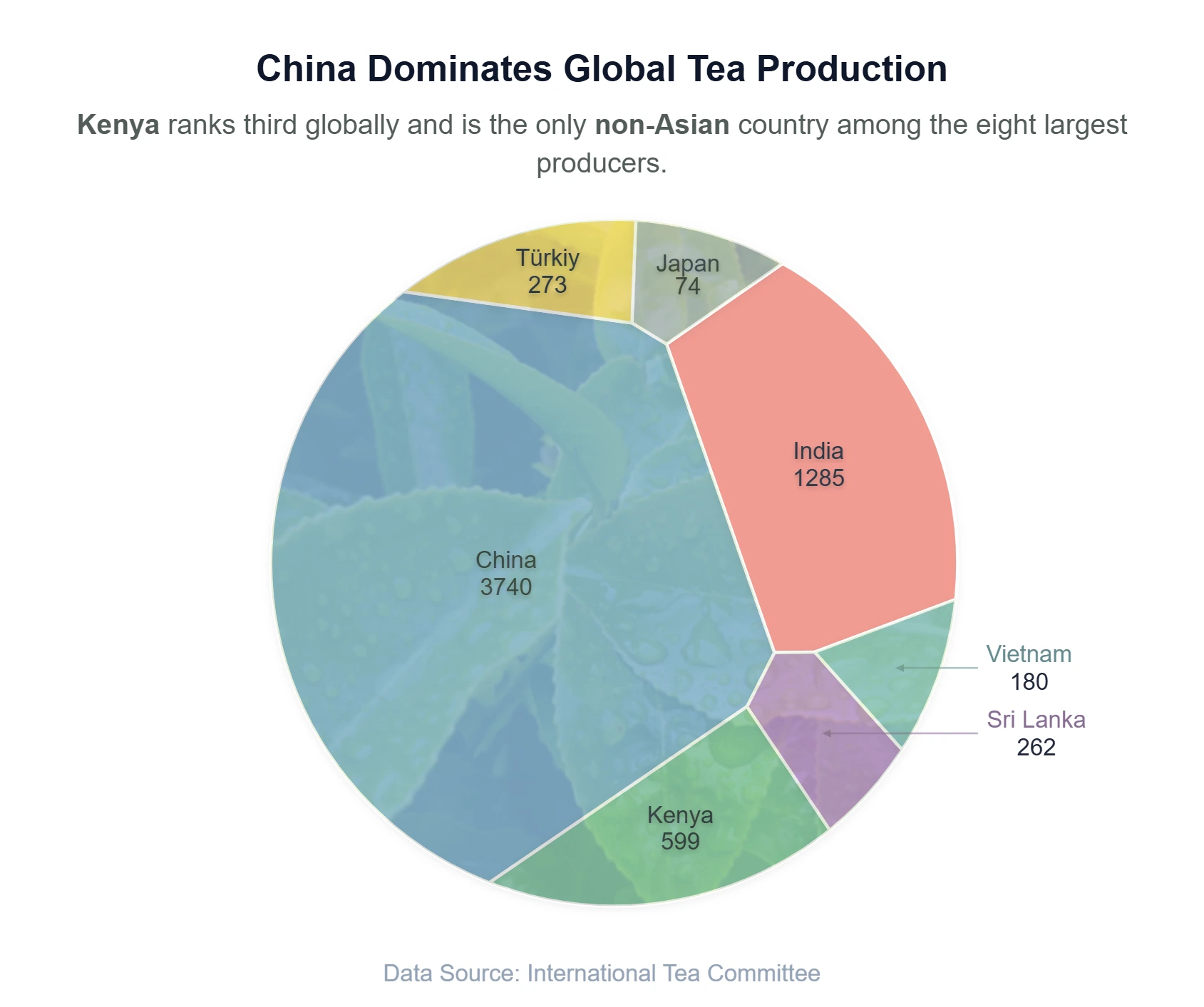 The World’s Largest Tea Producers